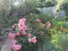 800x600-1713422394297_IMG_20230724_082946.jpg