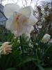 800x600-1713422882720_IMG_20220426_191009_1_.jpg