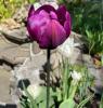 800x600-1652475280218__2_1_.jpeg