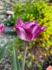 800x600-1652486358660__ColourFusion14.jpeg