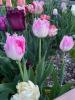 800x600-1652490669263__Drakensteyn11.jpeg