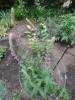 800x600-1654202358662_IMG_20220602_200958.jpg