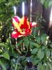 800x600-1714386225556_IMG_20240428_151943.jpg