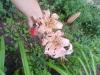800x600-1689259904993_IMG_20220726_162833.jpg
