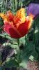 800x600-1652195889673_IMG_20220504_095635.jpg