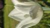 800x600-1652535308621_IMG_20220507_163918.jpg
