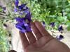 800x600-1748349854459_IMG_6594.jpeg