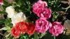 800x600-1714299314320_20240427_144210.jpg
