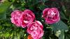 800x600-1714299314451_20240427_173932.jpg