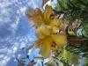 800x600-1689063606436_IMG_1280.jpeg