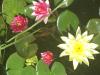 800x600-1652474816362_IMG_7602.JPG.jpg