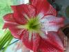 800x600-1624444774594_IMG_20210621_164156.jpg