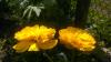 800x600-1462536262112_IMAG1099.jpg