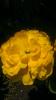 800x600-1462536262459_IMAG1100.jpg