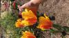 800x600-1689975865479_IMG_4756.jpeg