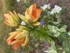 800x600-1773266096112_IMG_7676.jpeg