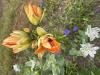 800x600-1773266096673_IMG_7677.jpeg