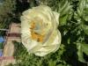 800x600-1689339423738_IMG_7460.jpeg