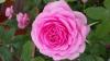800x600-1547129035786_20170622_105033.jpg