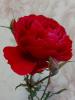 800x600-1763997128350_20251119_092751.jpg