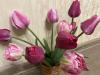 800x600-1745620374889_IMG_4261.jpeg
