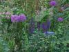 800x600-1689422846231_20220605_200202.jpg