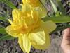800x600-1764783871480_IMG_3261.jpeg