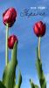 800x600-1664717862937_1F6422DC-D707-43A8-952A-0DE92CD747FC.jpeg