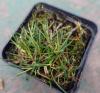 800x600-1588184553290_armeria1.jpg