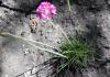 800x600-1588184553726_armeria2.jpg