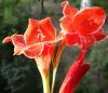 800x600-1652295285717_DSC02718.jpg