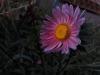800x600-1664211317755_20180830_070454.jpg
