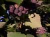 800x600-1664361118401_20180814_080520.jpg