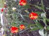 800x600-1689492033463_20230428_102813.jpg