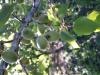 800x600-1721815243762_20240429_174330.jpg
