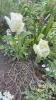 800x600-1746783407904_IMG_2455.jpeg