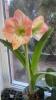 800x600-1777836649963_IMG_6893.jpeg