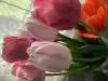 800x600-1652364117645_F5D0D4C1-0919-4C66-8B0D-AFC06E534ADA.jpeg