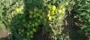 800x600-1689631374621_IMG20220814173306.jpg