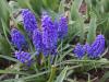 800x600-1689887184550_IMG_20210515_204027.jpg