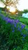 800x600-1698301103139_IMAG0068.jpg