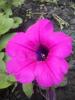 800x600-1530954658166_4.jpg
