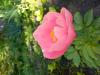 800x600-1754590906461_20250602_091018.jpg