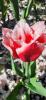 800x600-1688818985686_IMG_2568.jpeg