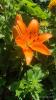 800x600-1674041194224_received_2683472151790038.jpeg
