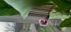 800x600-1713339319181_20240313_072149.jpg