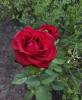 800x600-1689757834623_IMG_20230719_120726.jpg