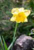 800x600-1713352885305_DSC_1365.jpg
