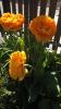 800x600-1713956970258_IMG_20230506_165205.jpg