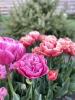 800x600-1682787920270_IMG_5481.jpeg